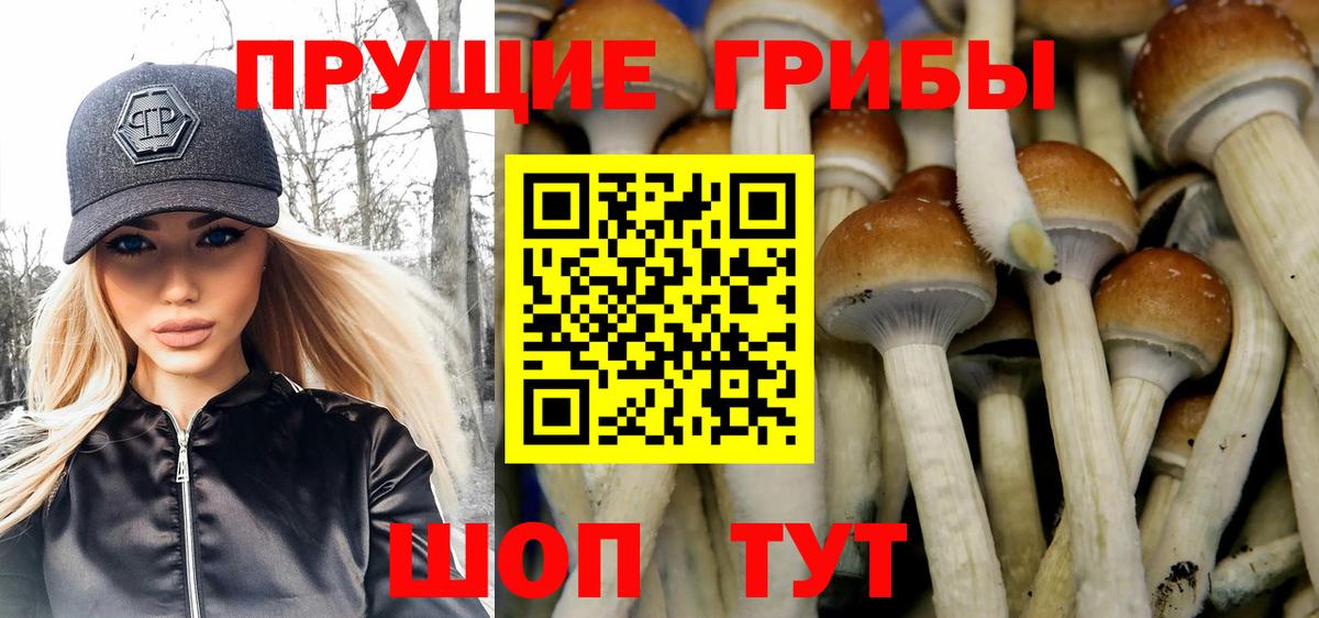 Псилоцибиновые грибы Cubensis Качканар