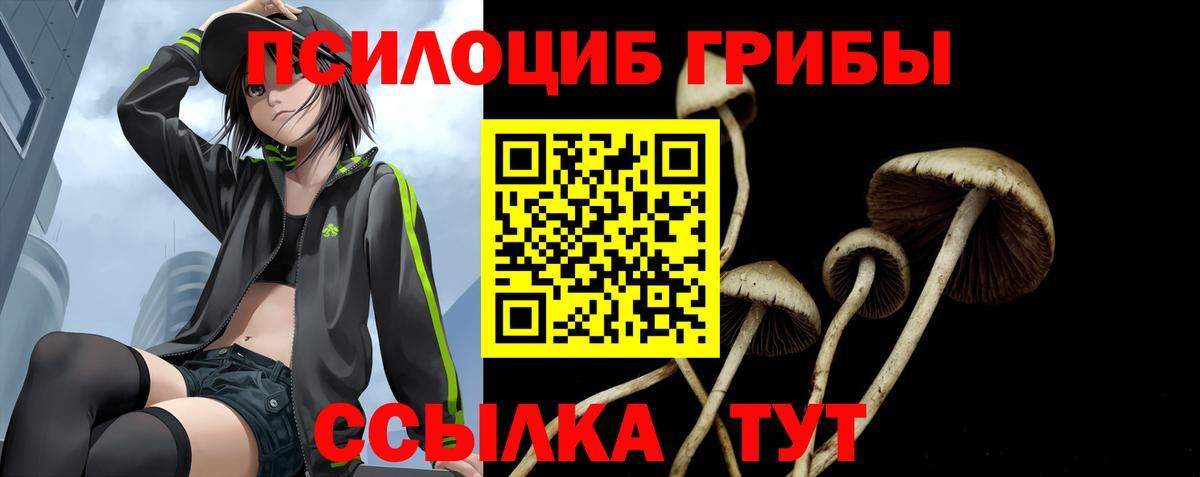 где можно купить   Вход с VPN  Качканар  Галлюциногенные грибы мухоморы 